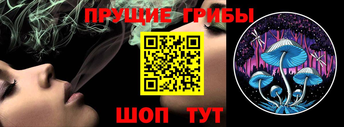 Псилоцибиновые грибы MAGIC MUSHROOMS  Вход с VPN  Псилоцибиновые грибы ЛСД  Унеча 