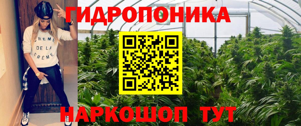 Шишки марихуана Amnesia Унеча